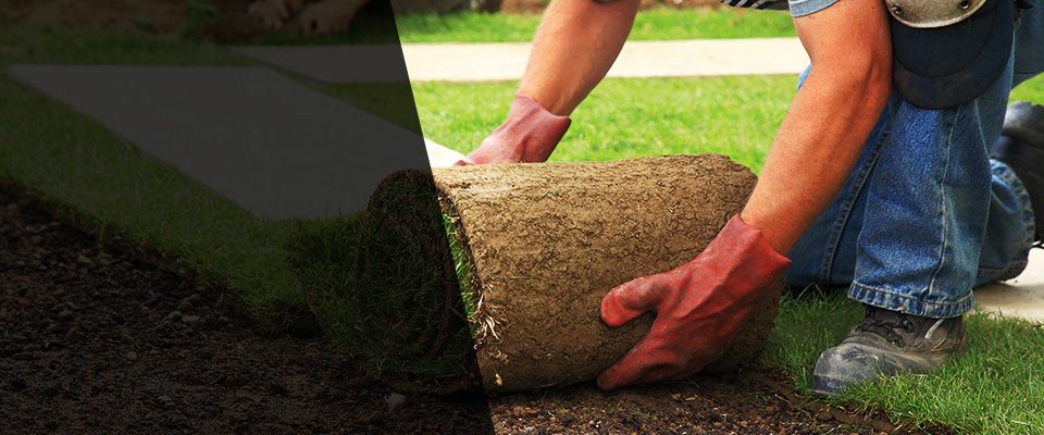 Belcamp Landscapers